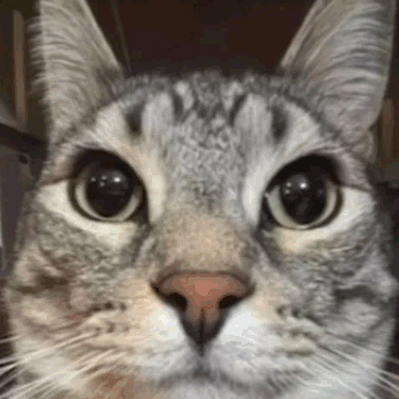 ad